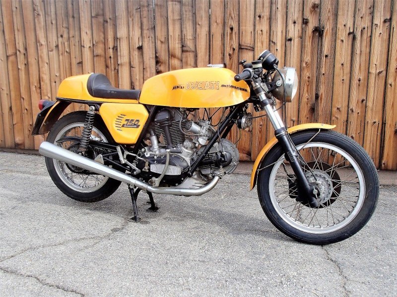 duc.jpg