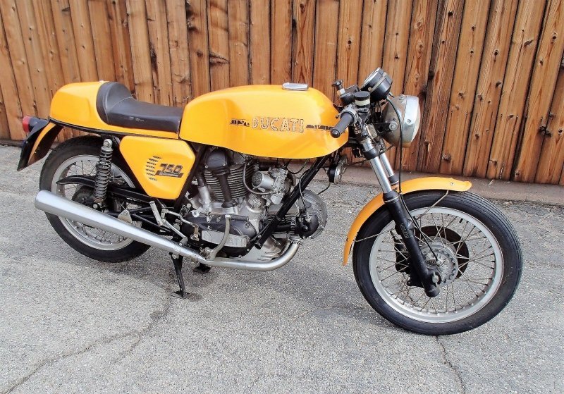 duc2.jpg