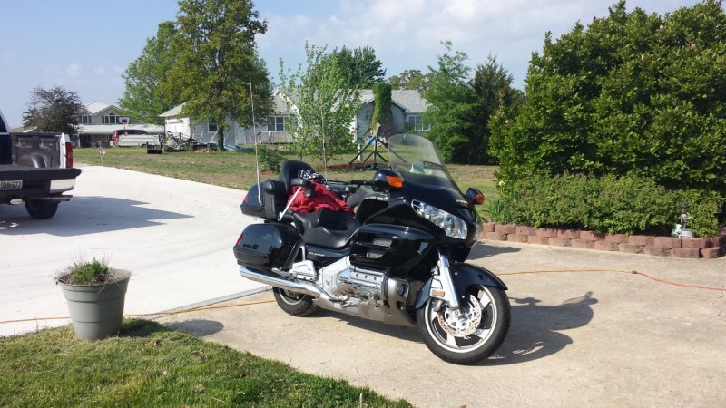 GoldWing.jpg GoldWing.jpg