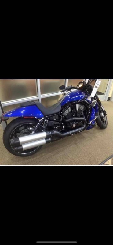 Harley 1.jpg