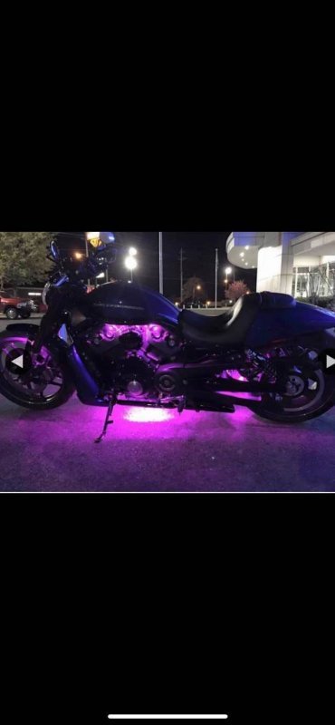 Harley 2.jpg