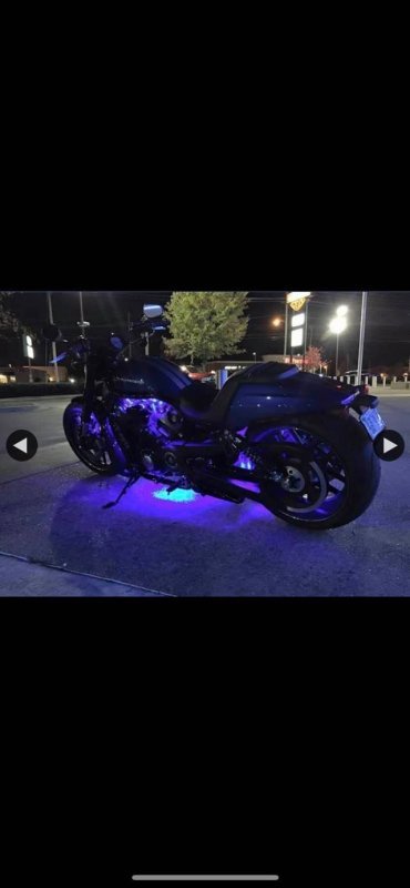 Harley 3.jpg