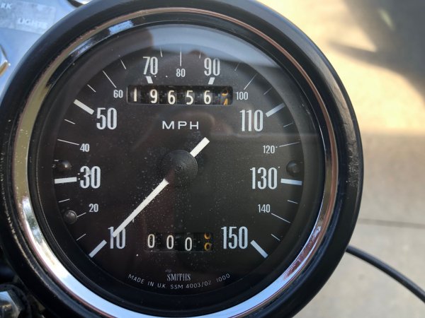 speedo.jpg speedo.jpg