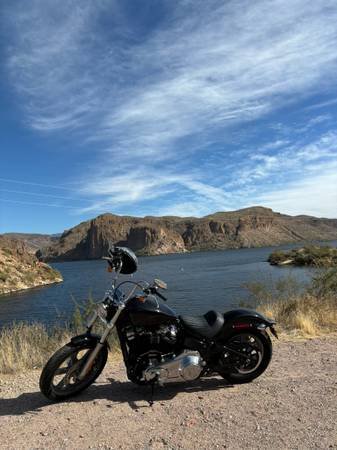 Harley 1.jpg