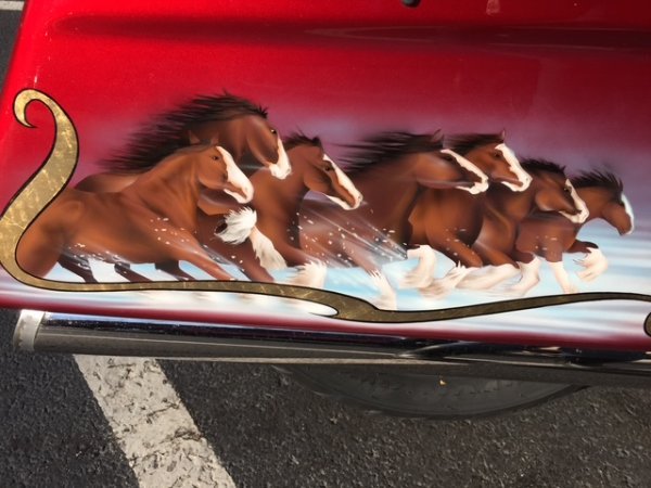 Clydesdales.JPG Clydesdales.JPG
